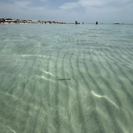 Casa Siry - In Centro E A 350 M Dalle Spiagge Di Apartment *