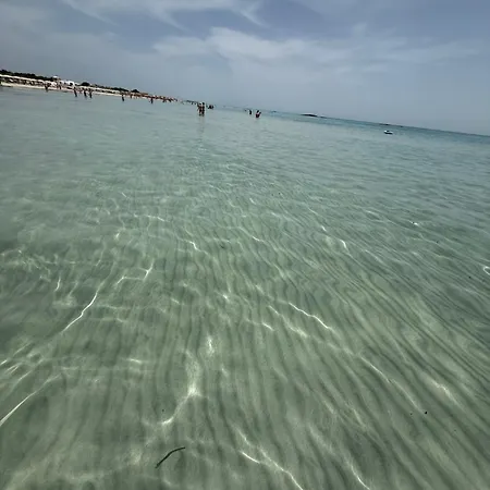 Appartement Casa Siry - In Centro E A 350 M Dalle Spiagge Di Torre San Giovanni